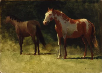 Two Horses